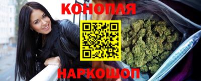 прущие грибы Владимир
